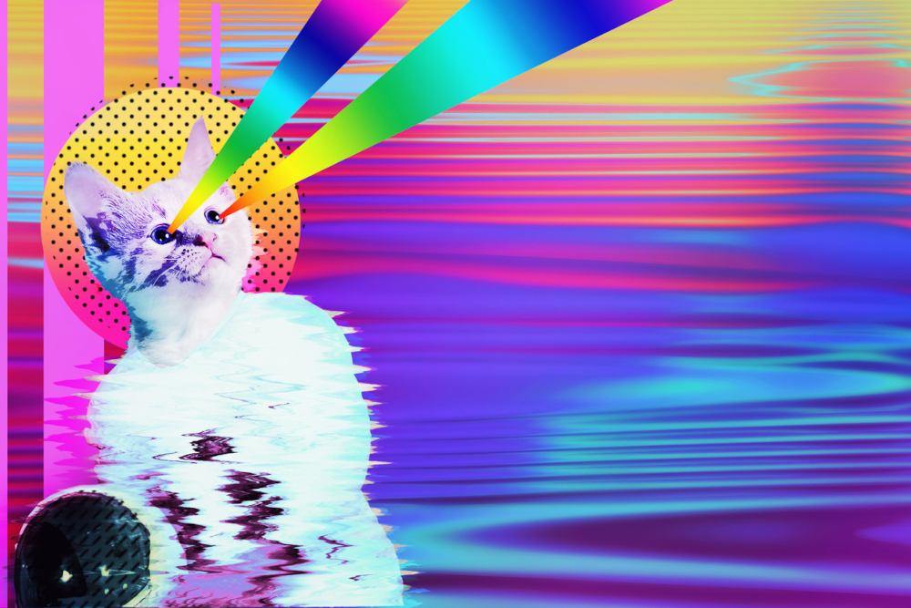 80s retrowave style image of a cat with neon lasers shooting out of its eyes and behind him is an abstract sun and a geometric vaporwave style background.