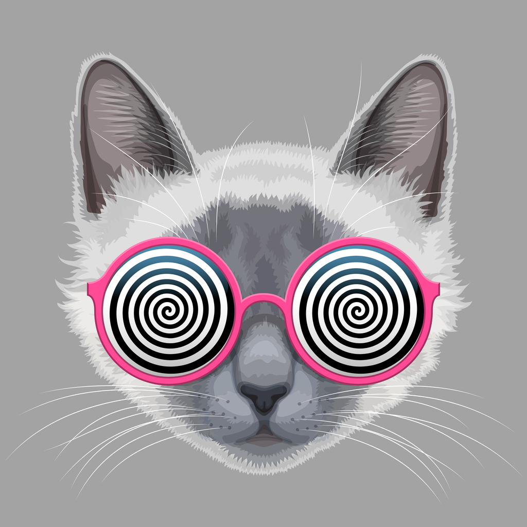 illustration of cat wearing silly glasses 